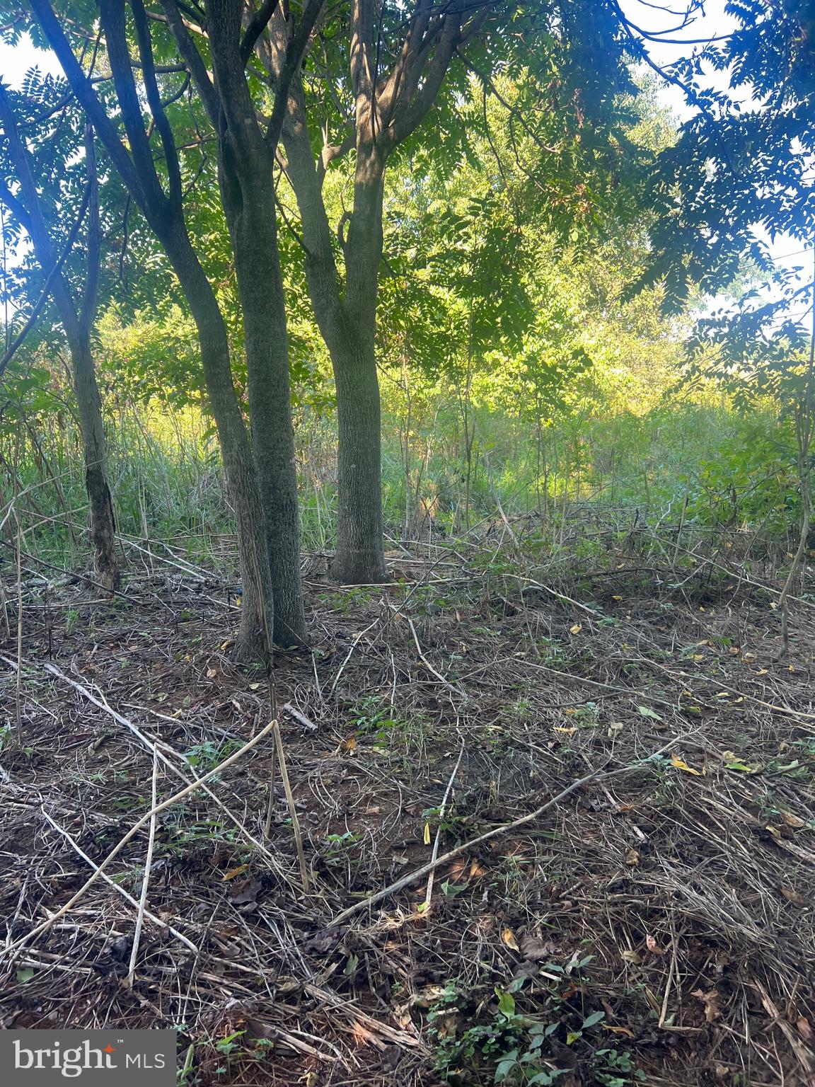 JAMES MADISON HIGHWAY