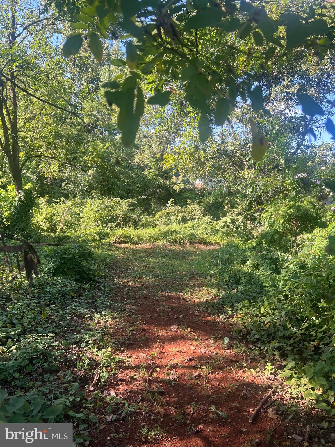 JAMES MADISON HIGHWAY