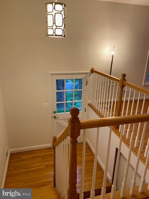 NORTH SHORE - Residential