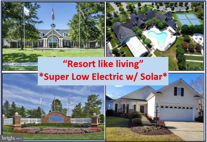 **OPEN HOUSE Sun March 15, 12-3** Enjoy having solar with super low $118 a month electric bills! Come fall in love with this amazing sought after 55+ community of Symphony Village with tons of amenities & activities. Wonderful location yet close to hospitals, doctors, shopping, restaurants, beaches, parks, boat ramps & more. Gorgeous 3BR, 2BA rancher with stunning hardwood floors and lots of upgrades. New roof only 3 years old! Original owner has taken meticulous care of his home. 9' ceilings, huge kitchen with corian counters, pantry, gas fireplace, relaxing back patio, sky basement with finished room for an office and storage area.  Great location within the community as it is situated on the outside edge and over looks woods in the front so very peaceful. ONEYEAR HOME WARRANTY given at settlement for peace of mind. Come get this wonderful home before its gone!! Check out the inside and outside virtual tours in this listing. Owner motivated!