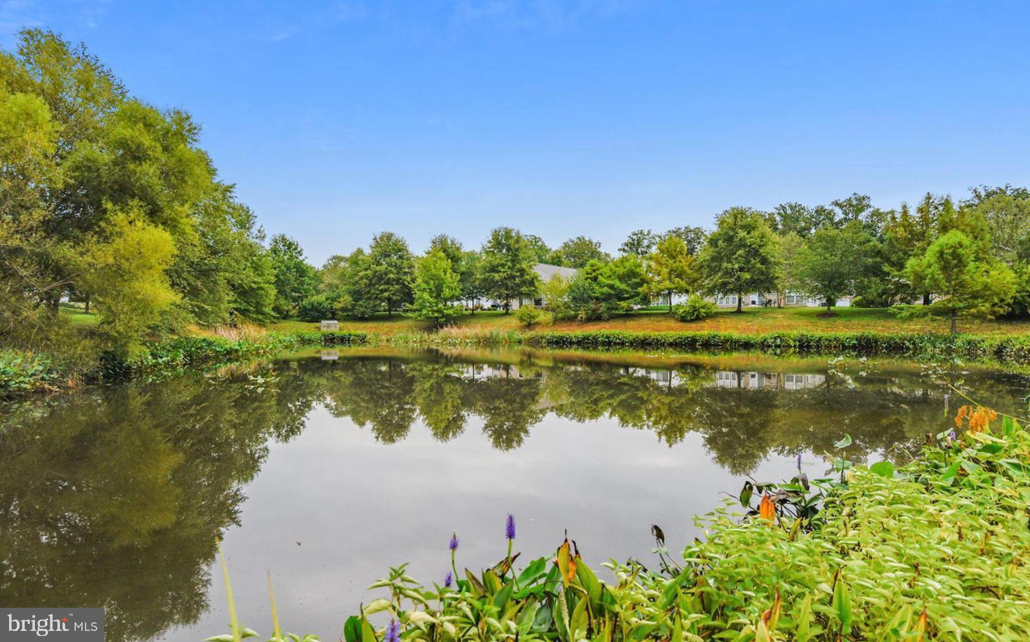 SYMPHONY VILLAGE AT CENTREVILLE - Residential