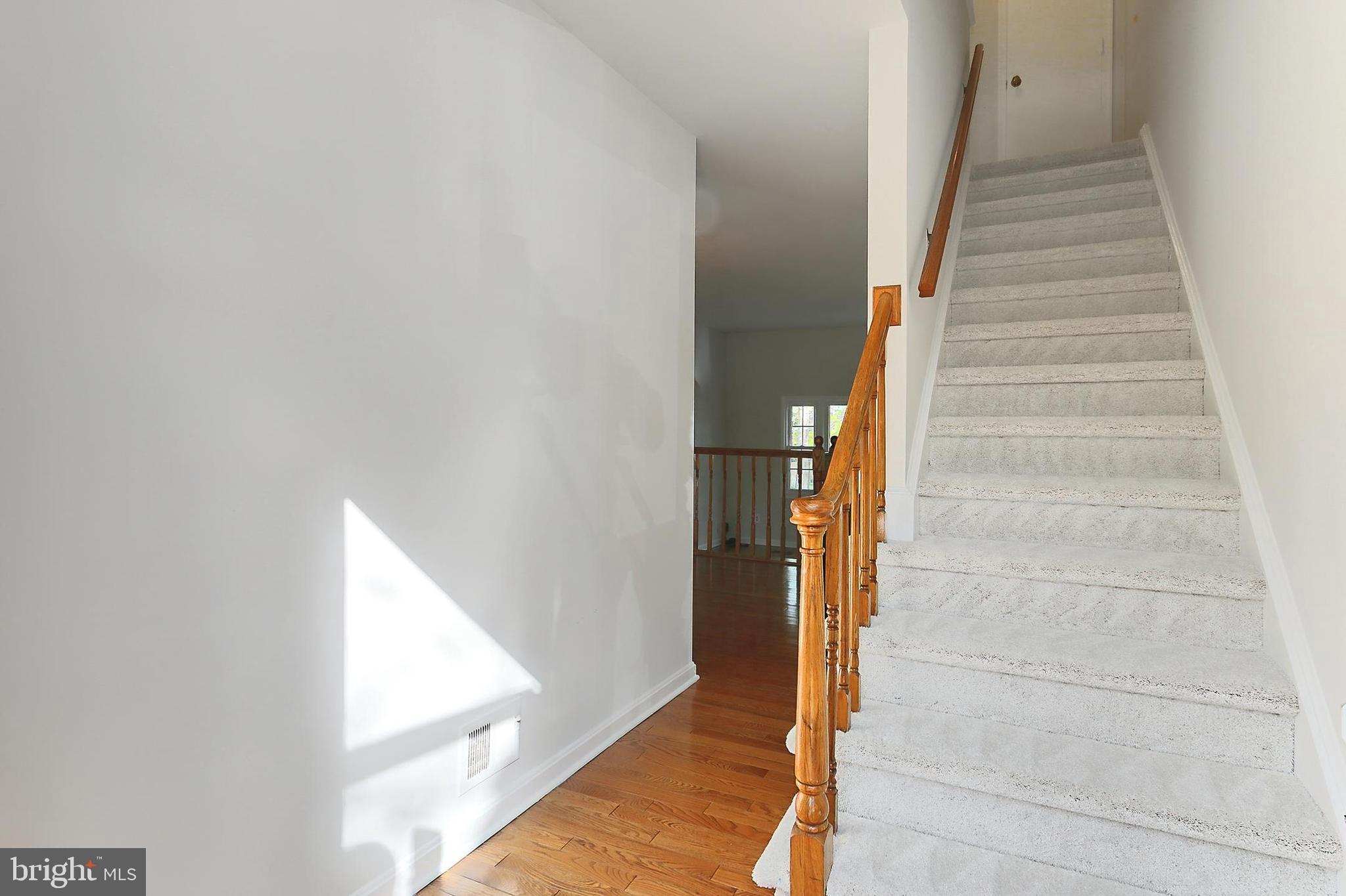 CARDINAL FOREST - Residential