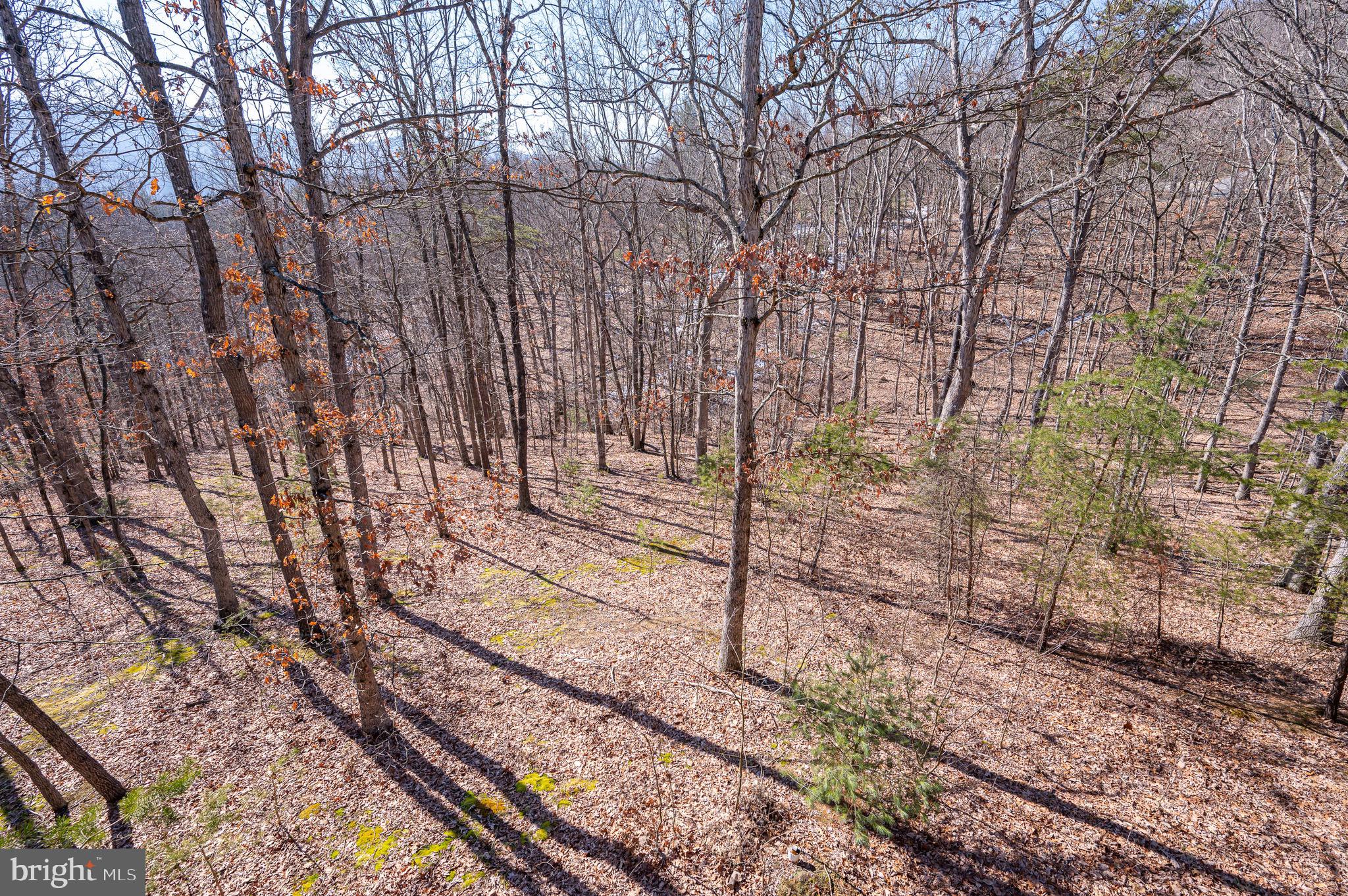 THE SUMMIT AT LOST RIVER - Residential