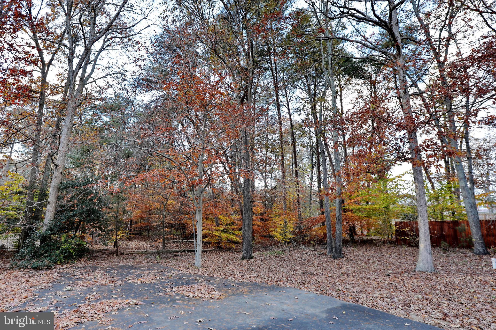 SUMMER SOLITUDE - Residential