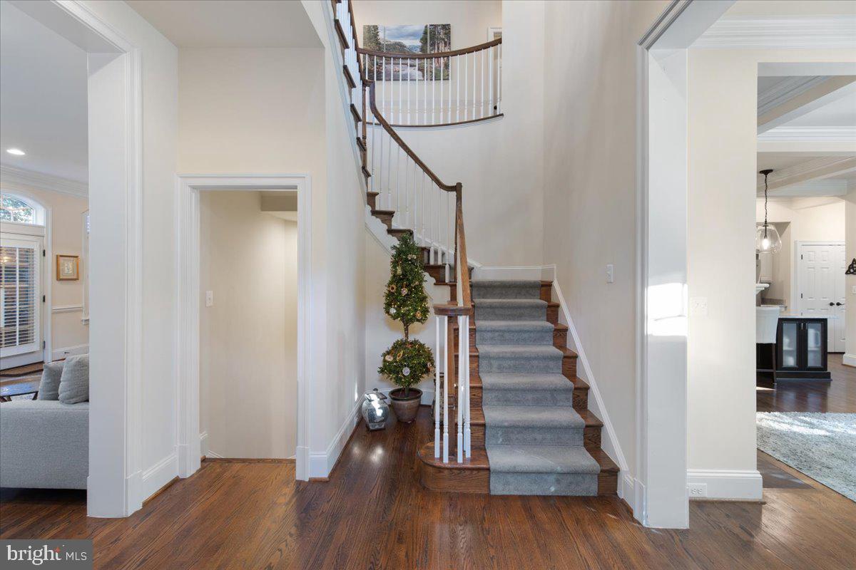 JAGUAR/YORKTOWN - Residential