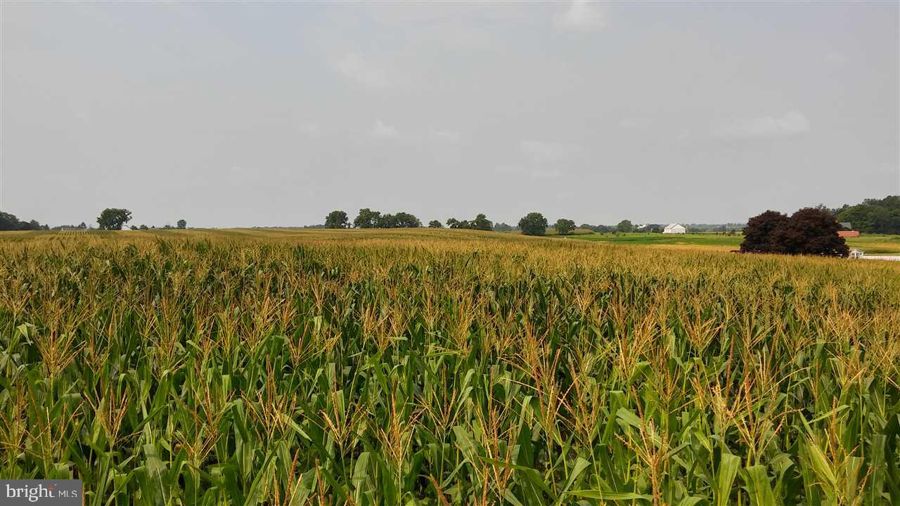 NONE AVAILABLE - Land