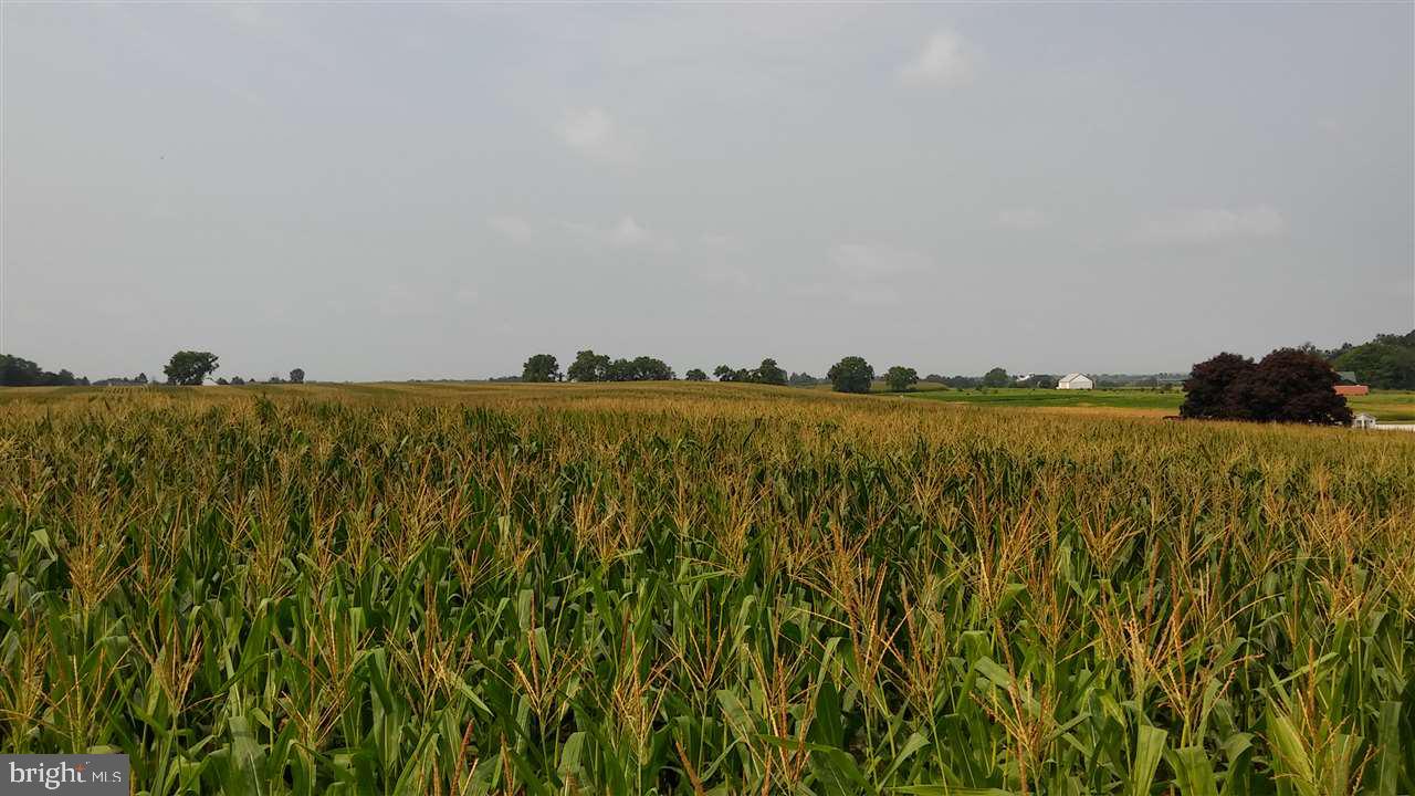 NONE AVAILABLE - Land