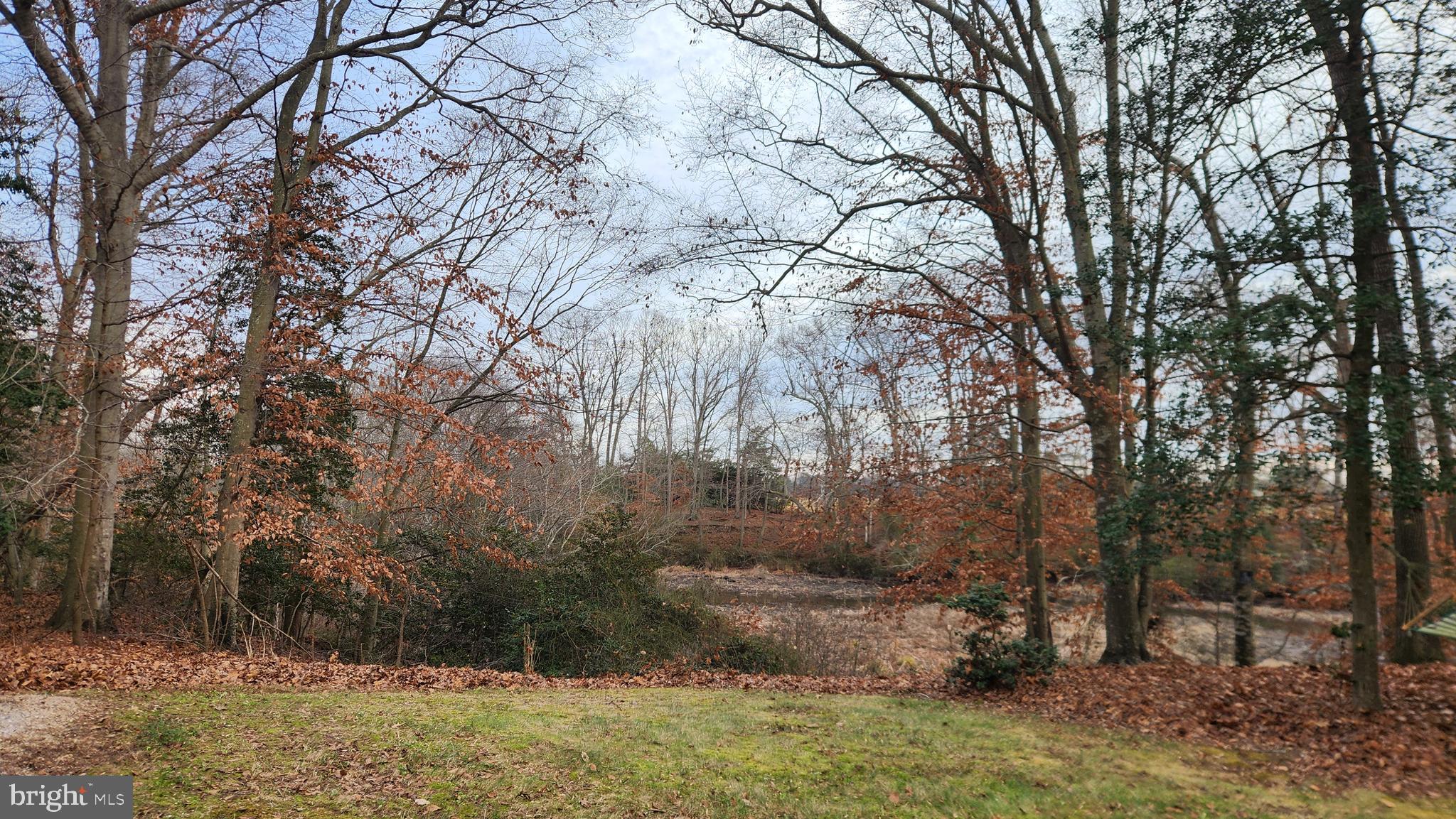 FOREST LANDING - Residential