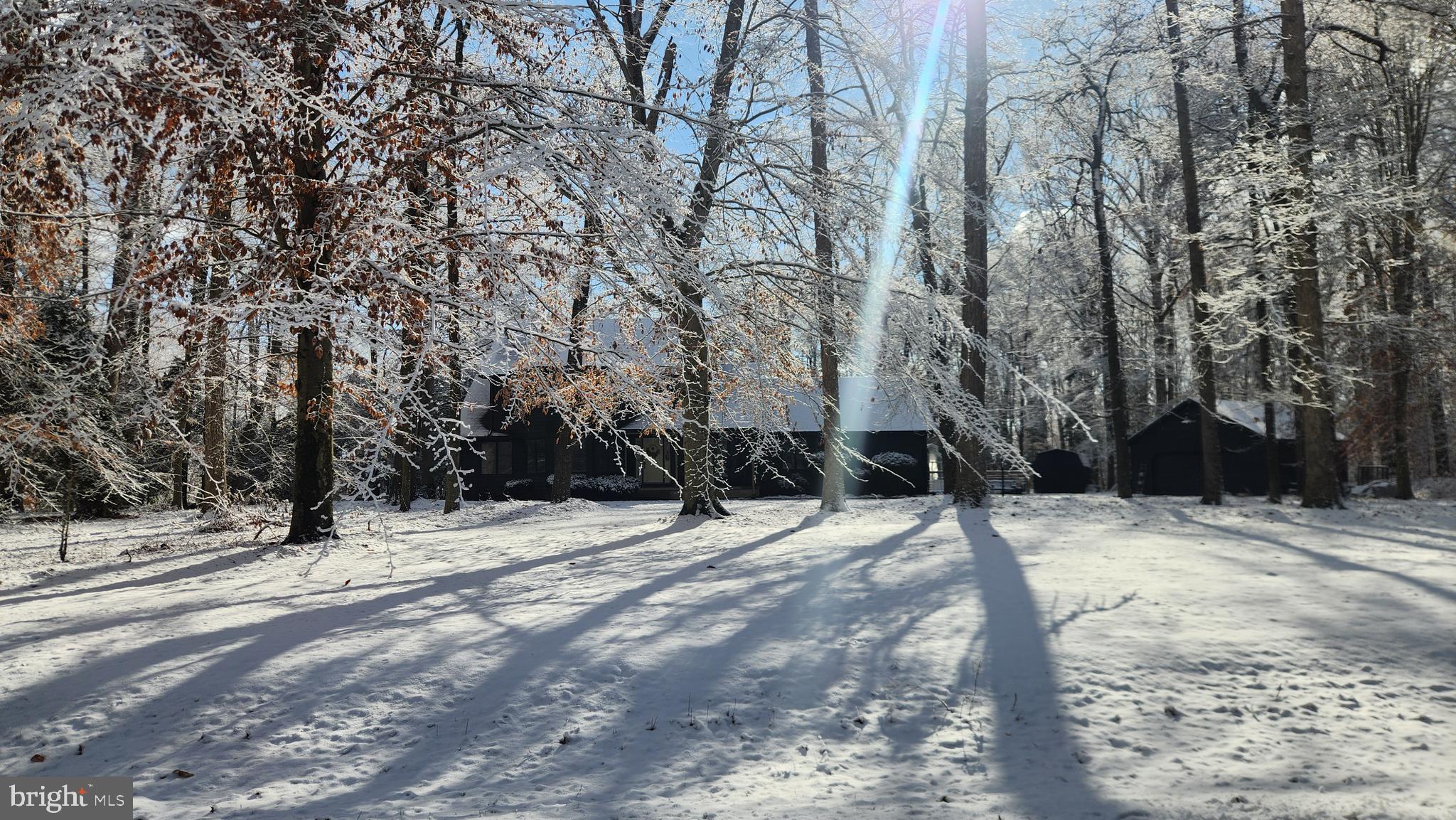 FOREST LANDING - Residential