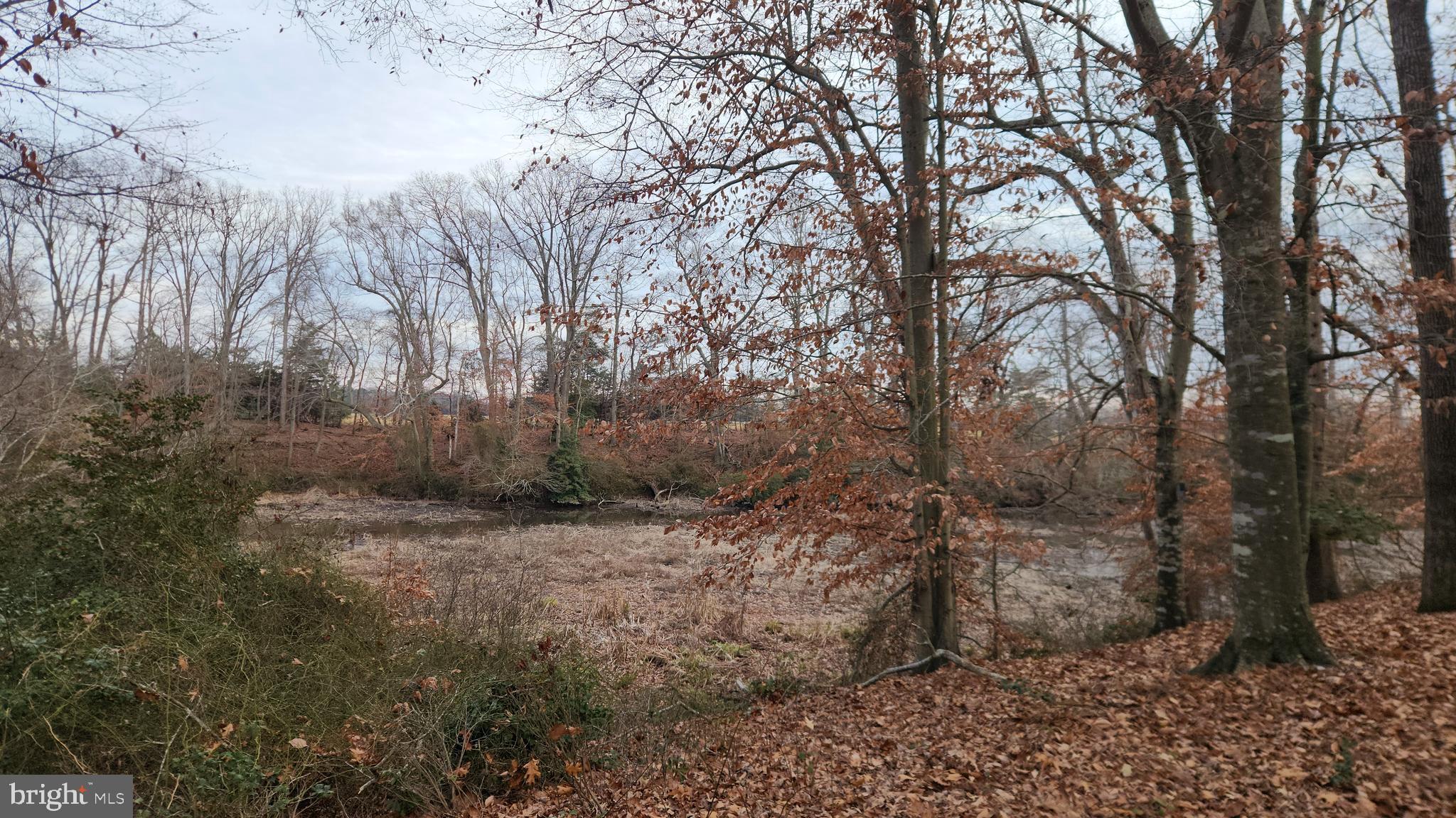 FOREST LANDING - Residential