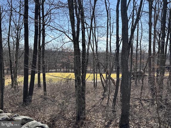 EAGLE ROCK RESORT - Residential