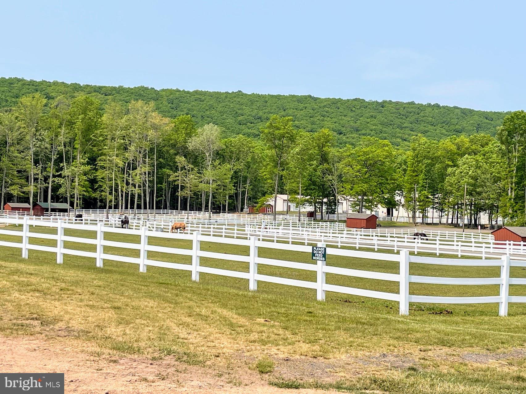 EAGLE ROCK RESORT - Residential