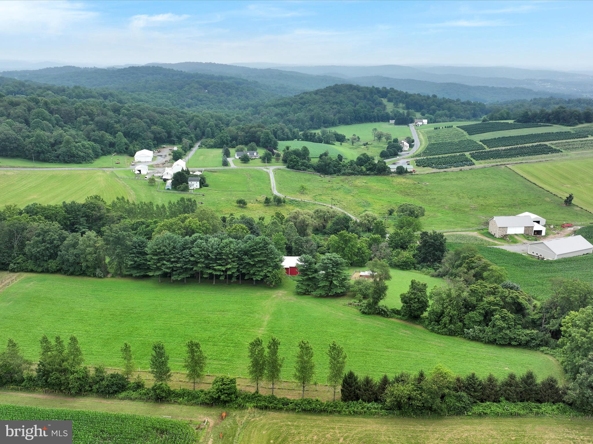 1095 TEXTER MOUNTAIN ROAD