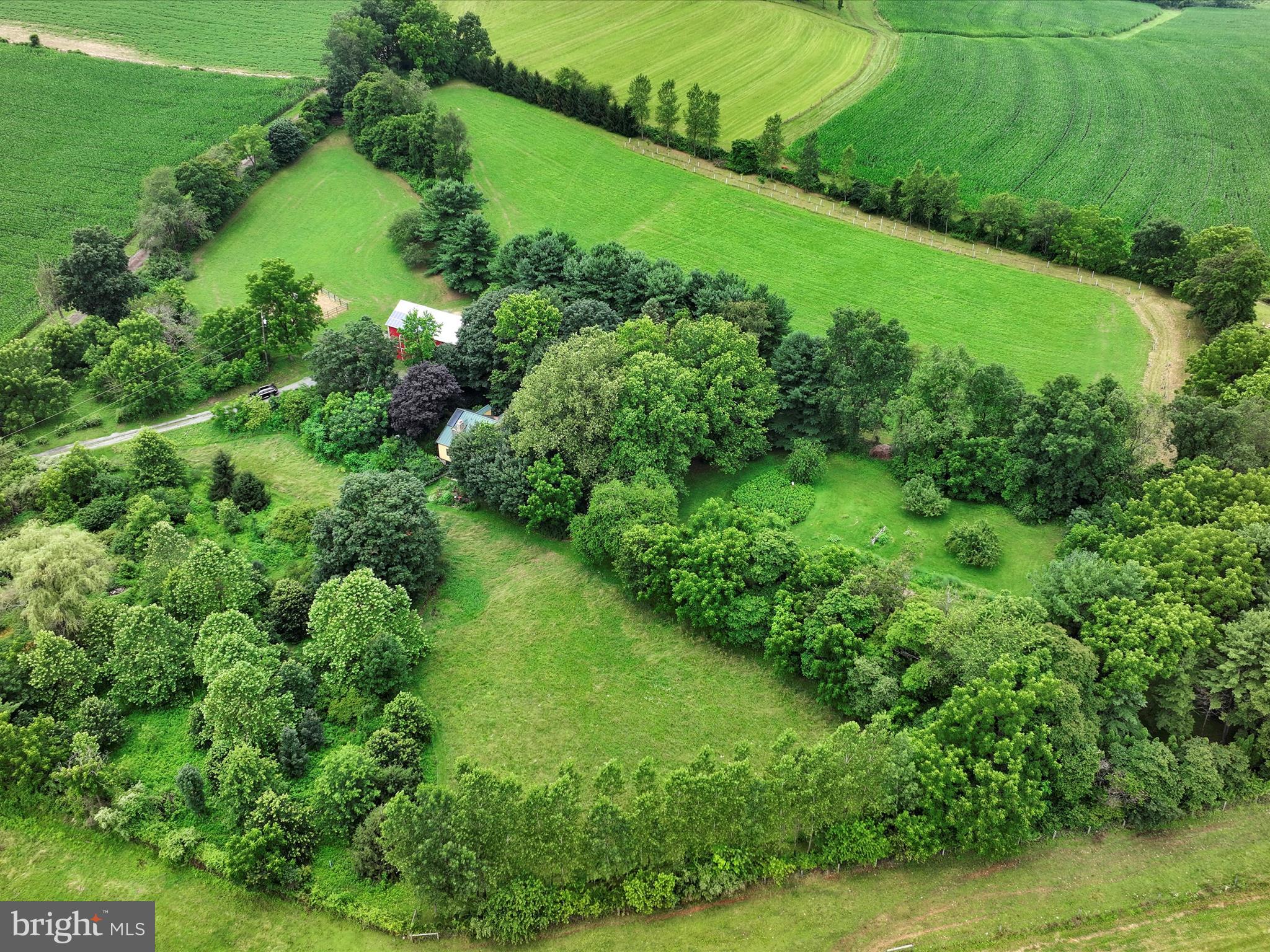 1095 TEXTER MOUNTAIN ROAD