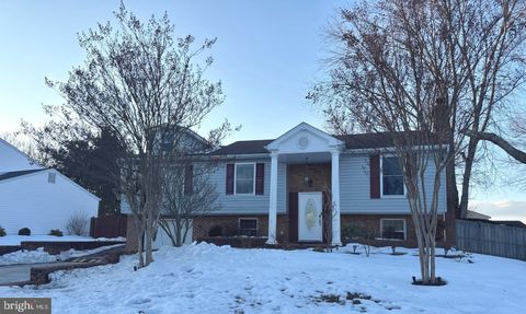 8590 FAIRFAX STREET MANASSAS VA 20110