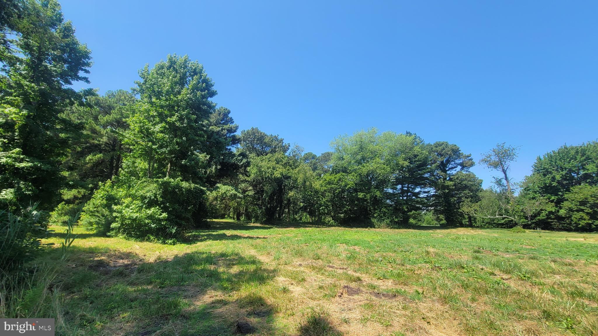 CHESTER RIVER DRIVE