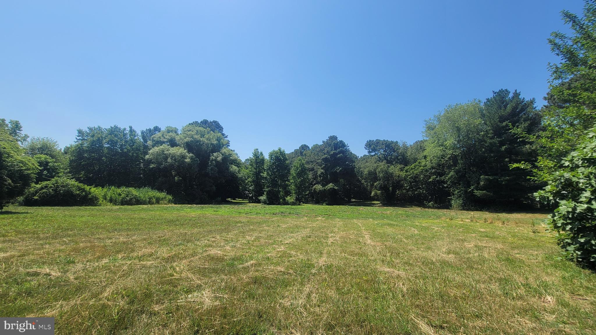 CHESTER RIVER DRIVE