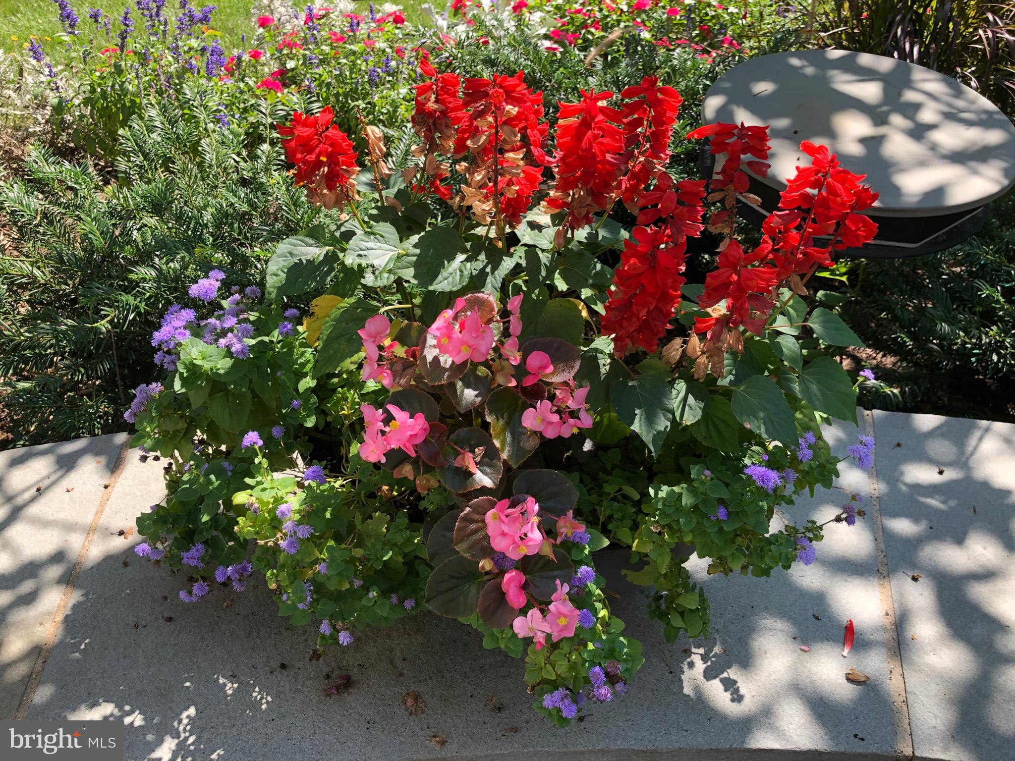 CHAUTAUQUA - Residential