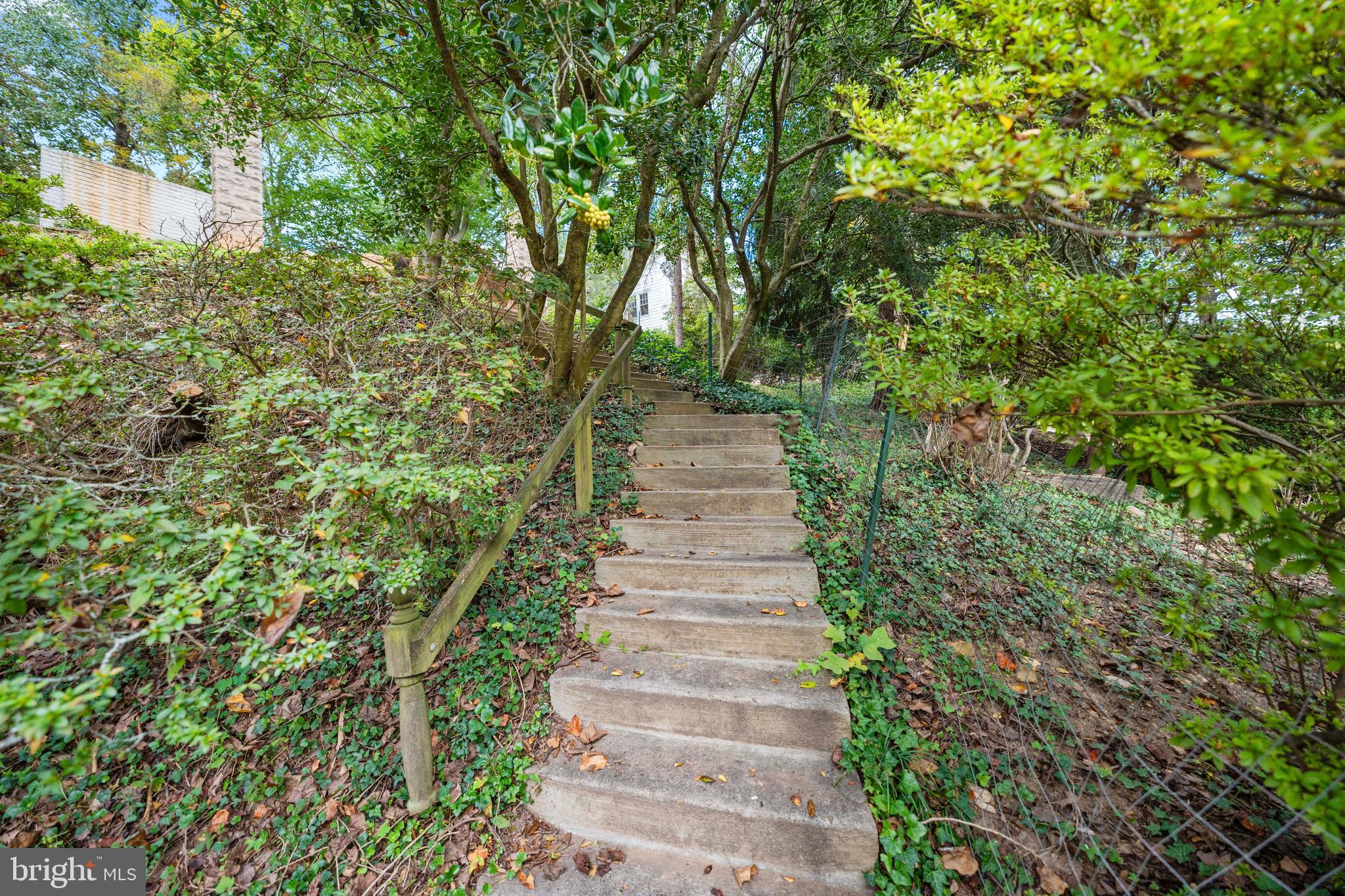 TAKOMA PARK - Residential