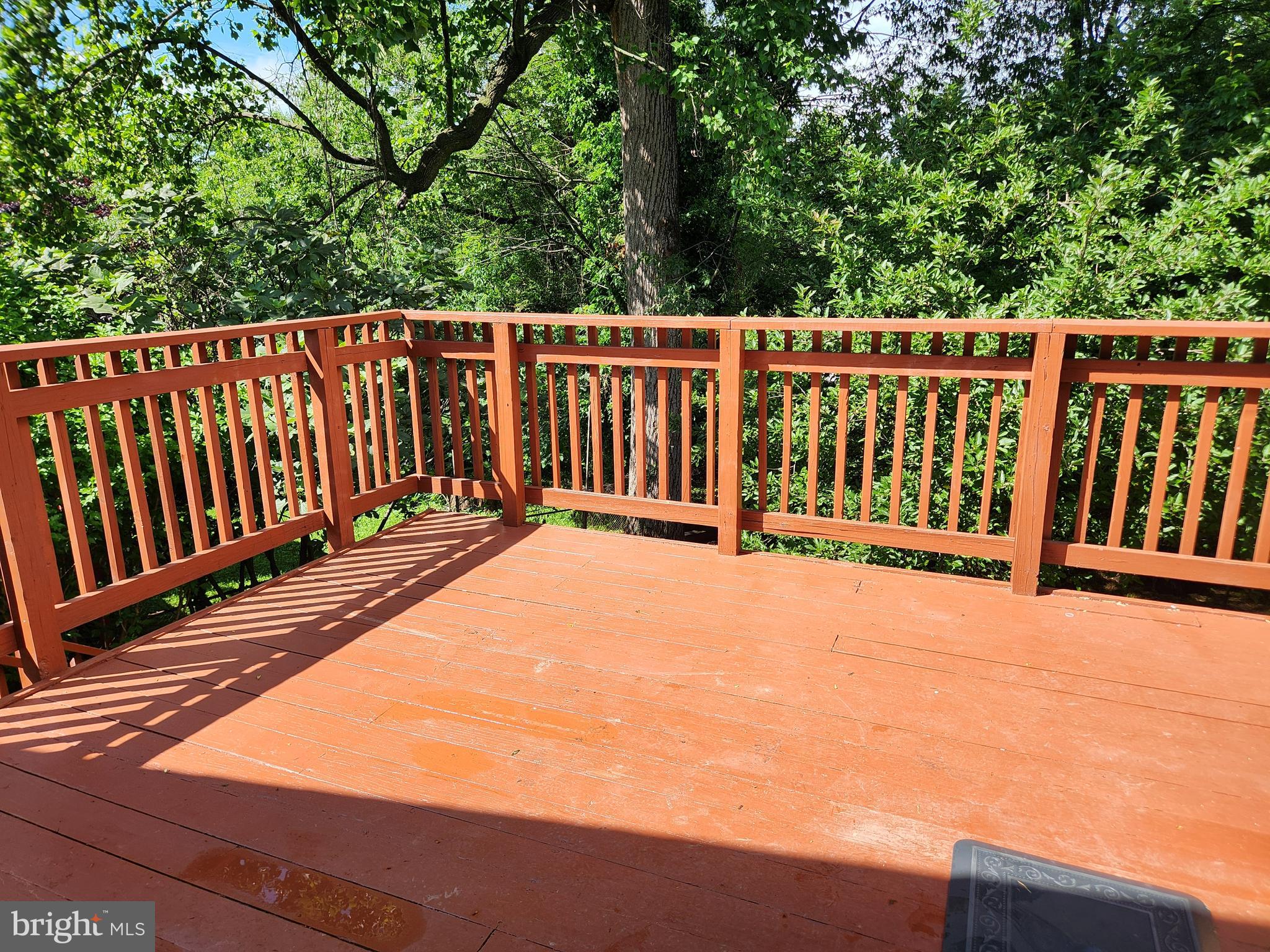 CONNECTICUT AVENUE ESTATES - Residential