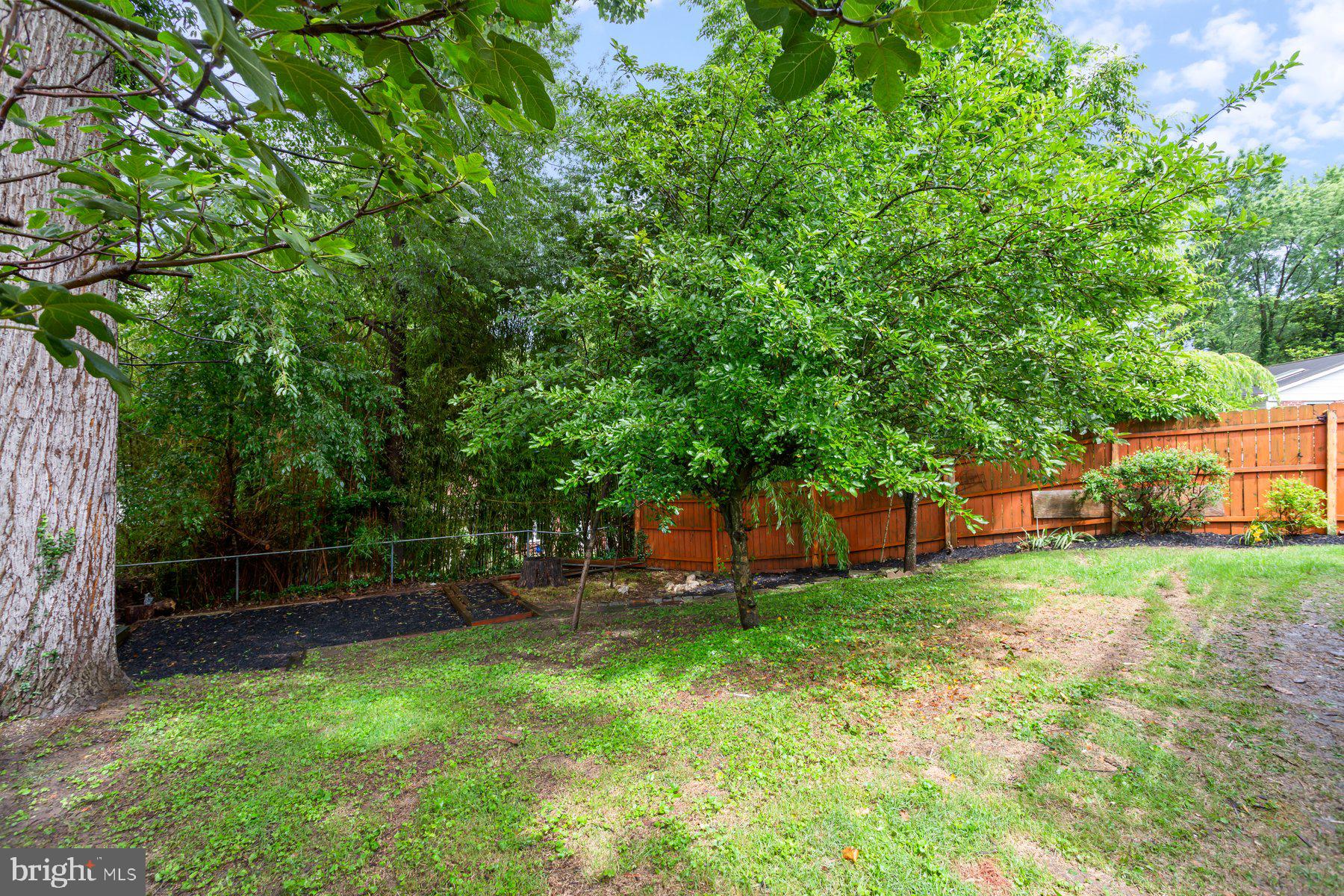 CONNECTICUT AVENUE ESTATES - Residential