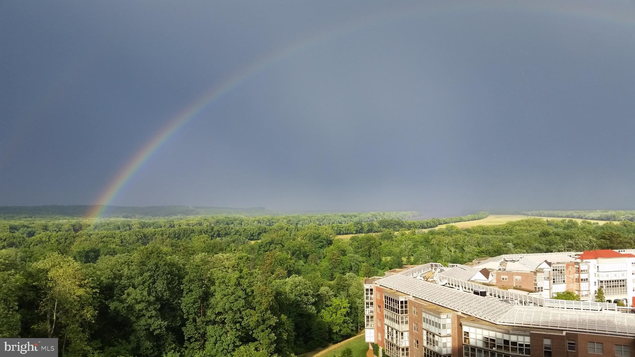 LANSDOWNE WOODS - Residential