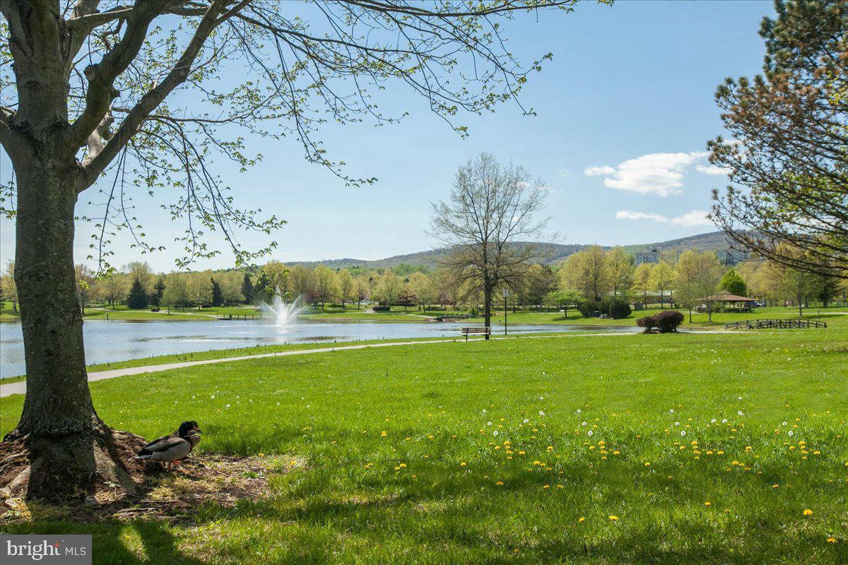 WHITTIER - Residential