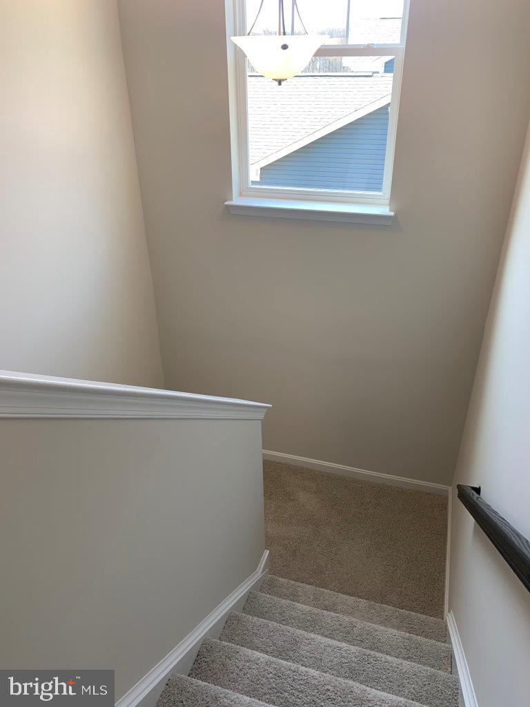 SHELTON KNOLLS - Residential