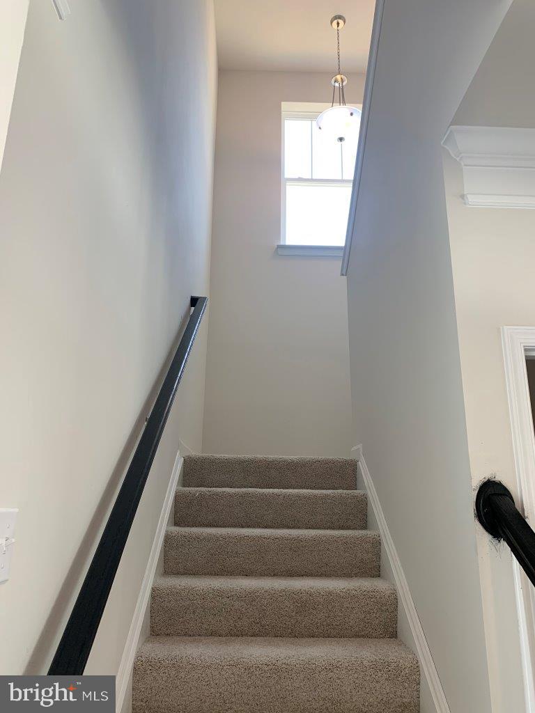 SHELTON KNOLLS - Residential