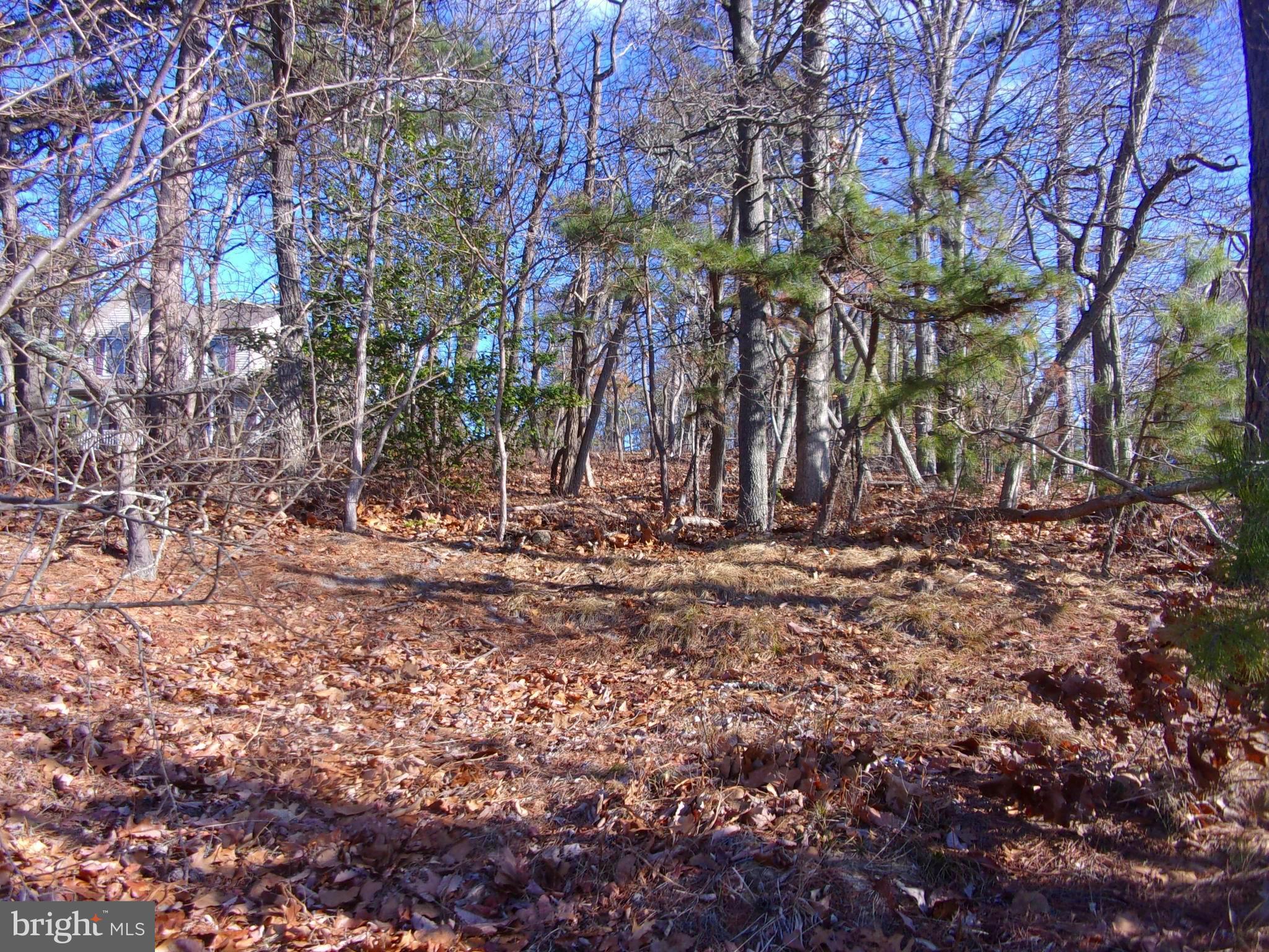 117 KIRK LANE