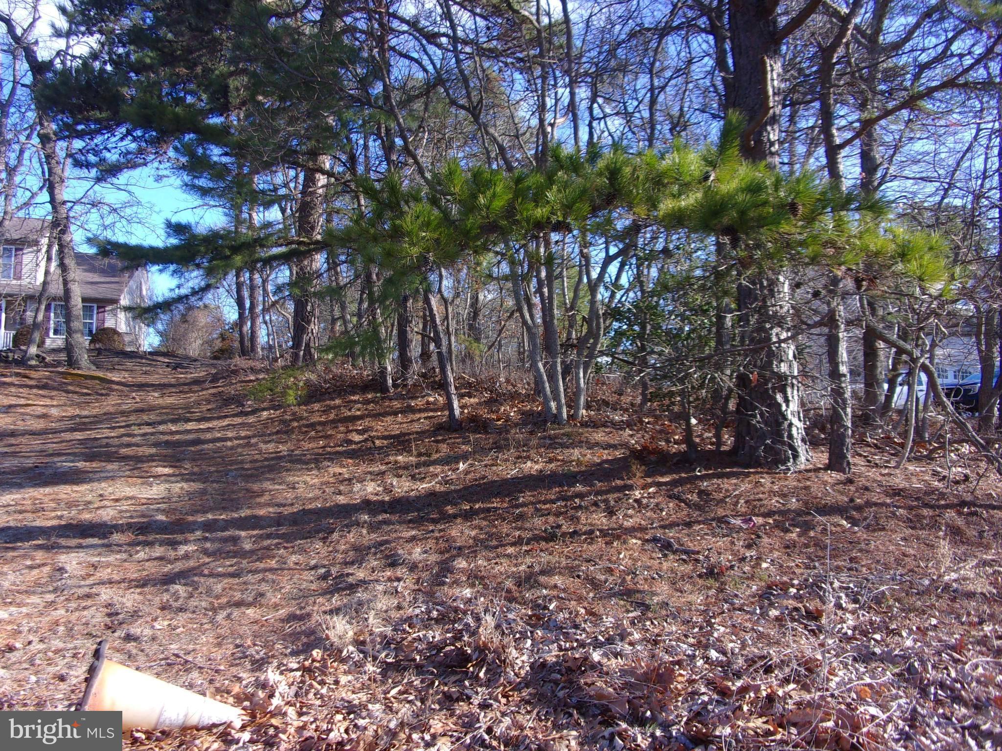 117 KIRK LANE