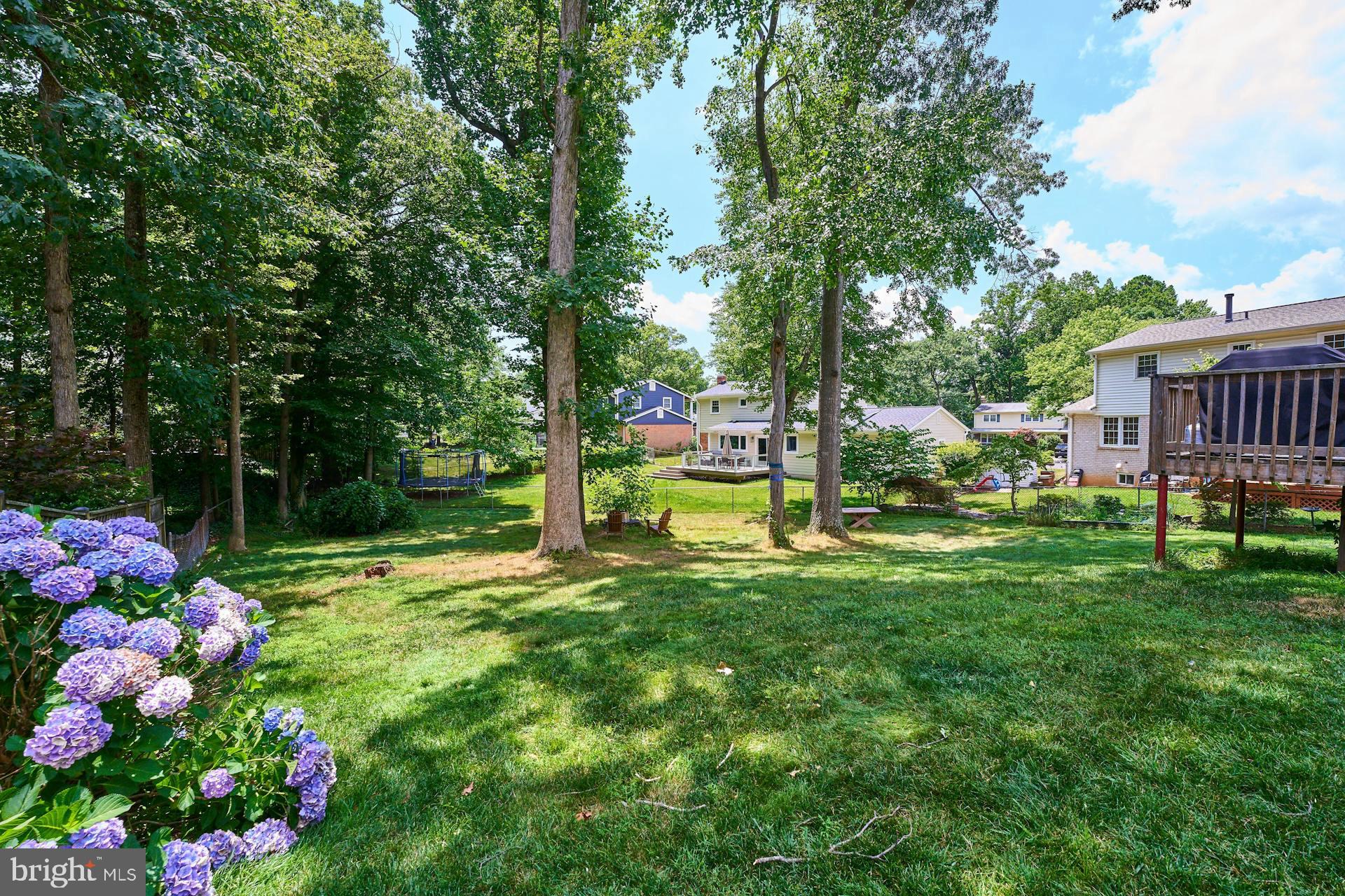 ORANGE HUNT ESTATES - Residential