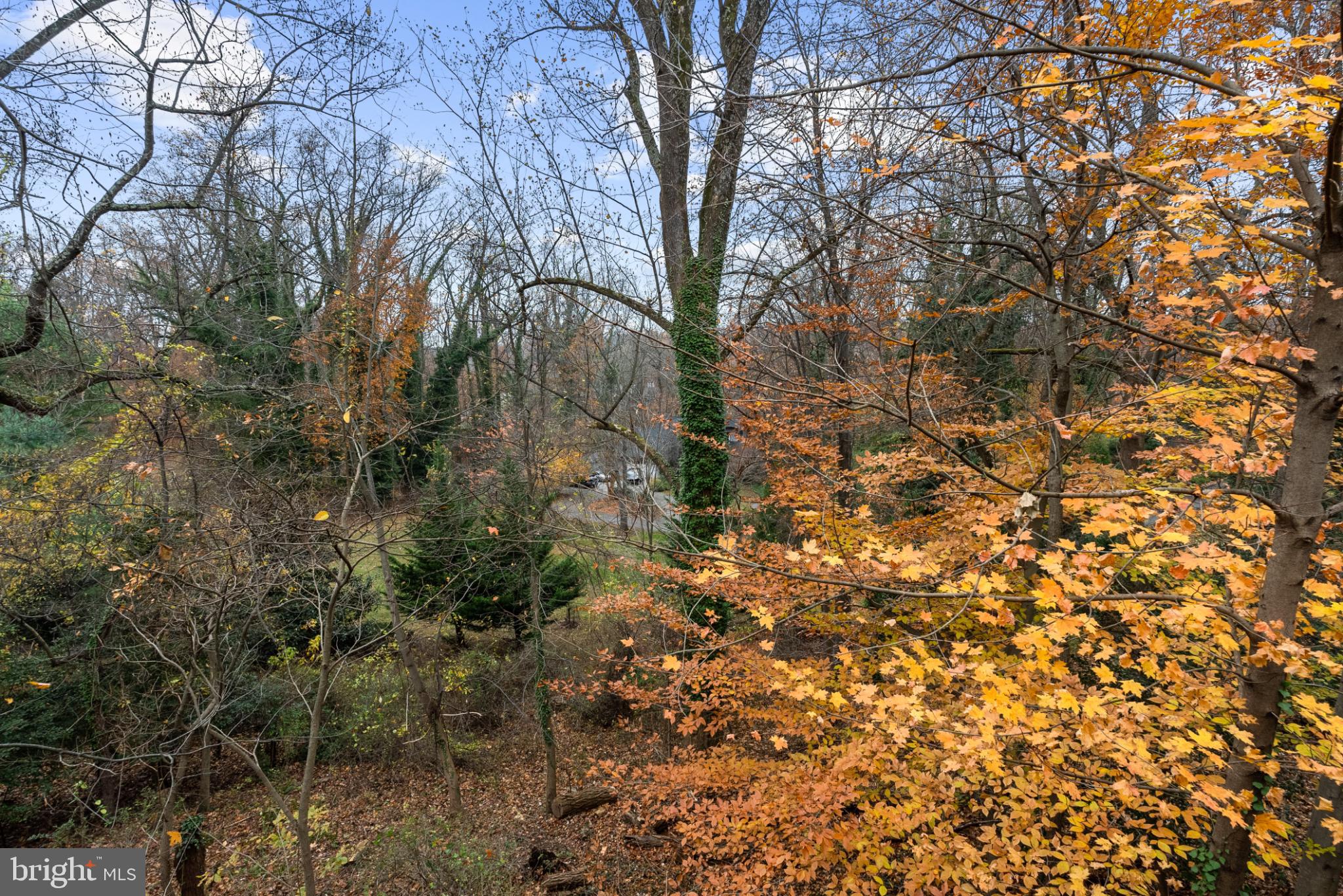 DELLWOOD - Residential