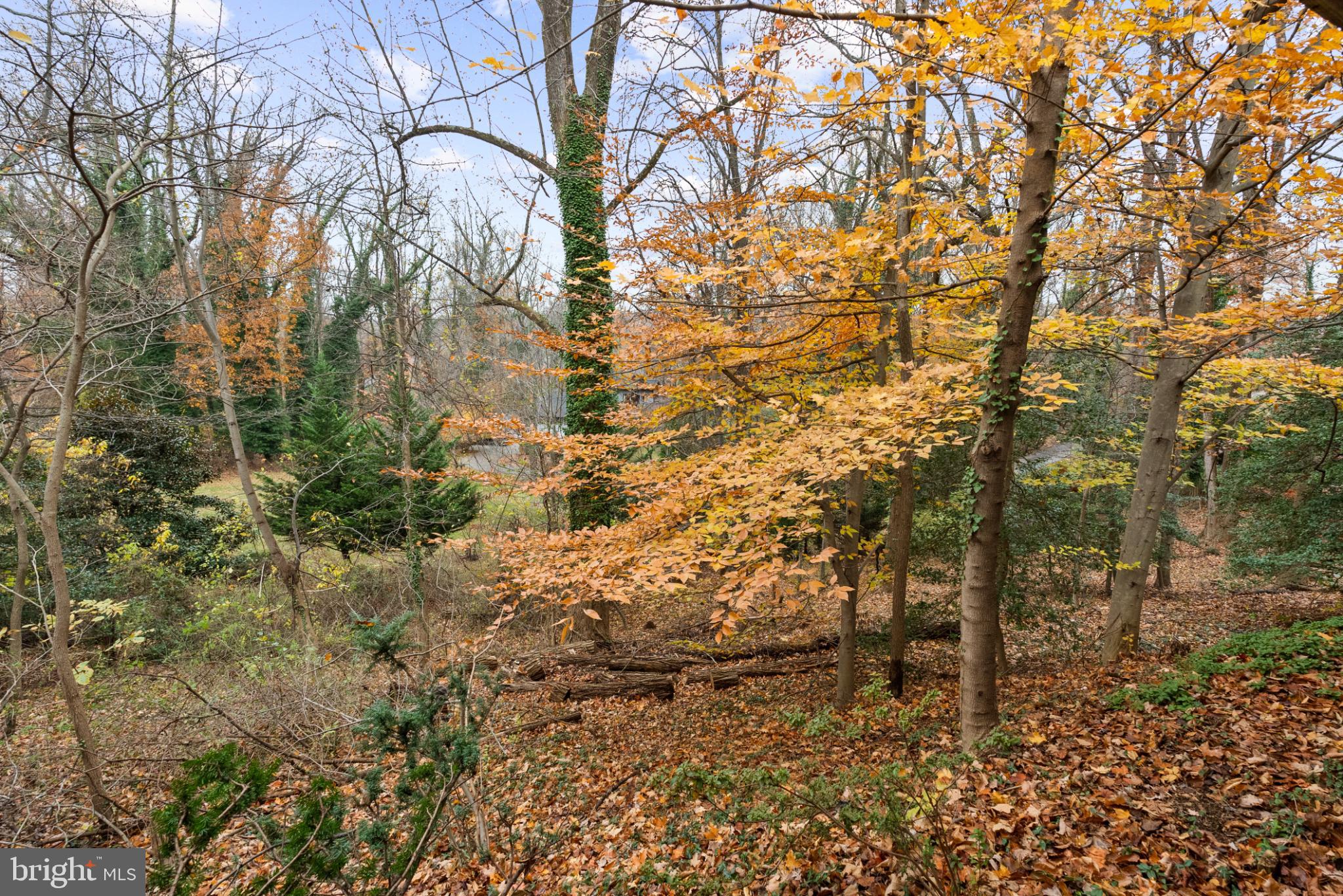 DELLWOOD - Residential