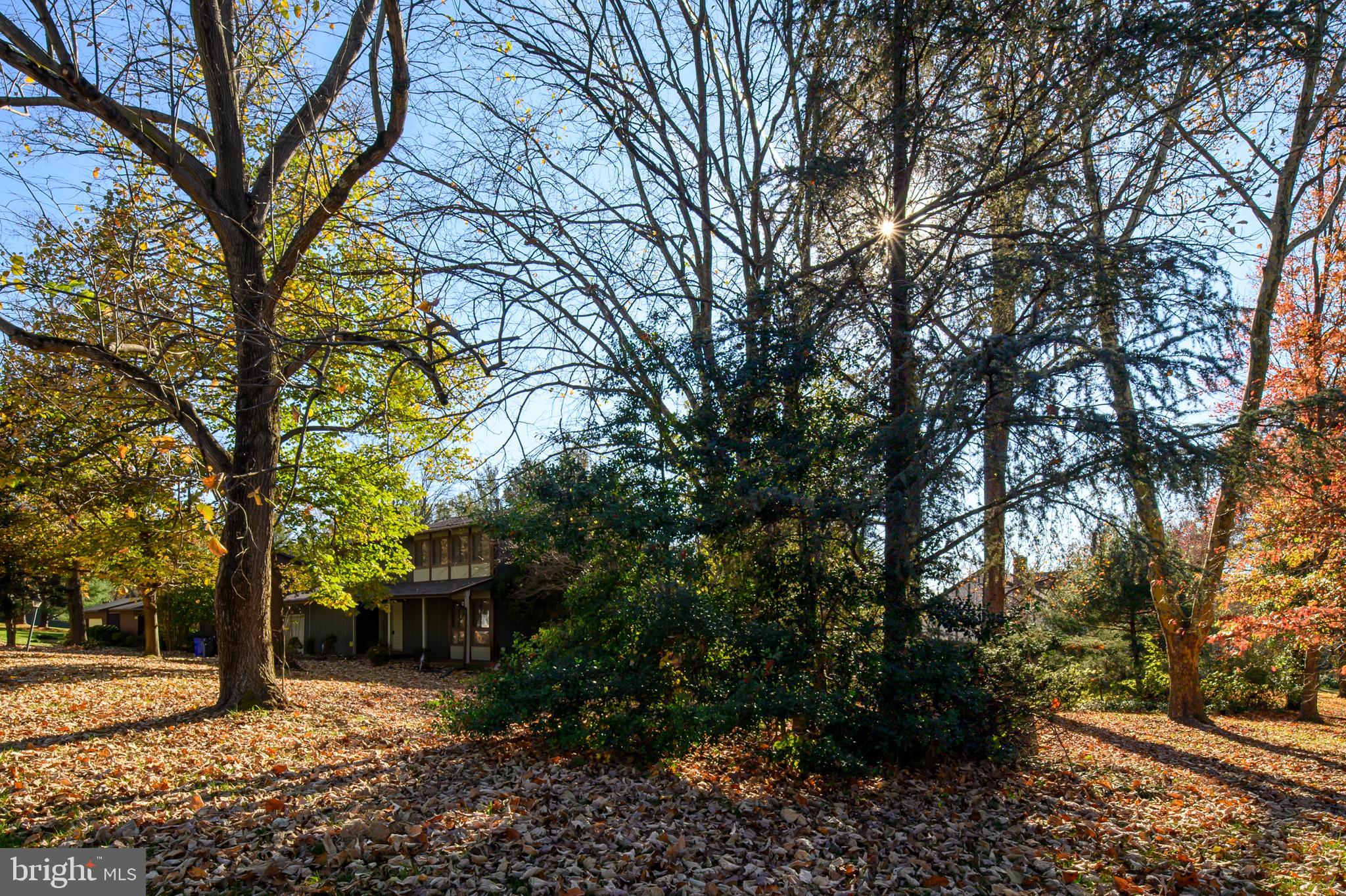 OAKLAND MILLS - Residential