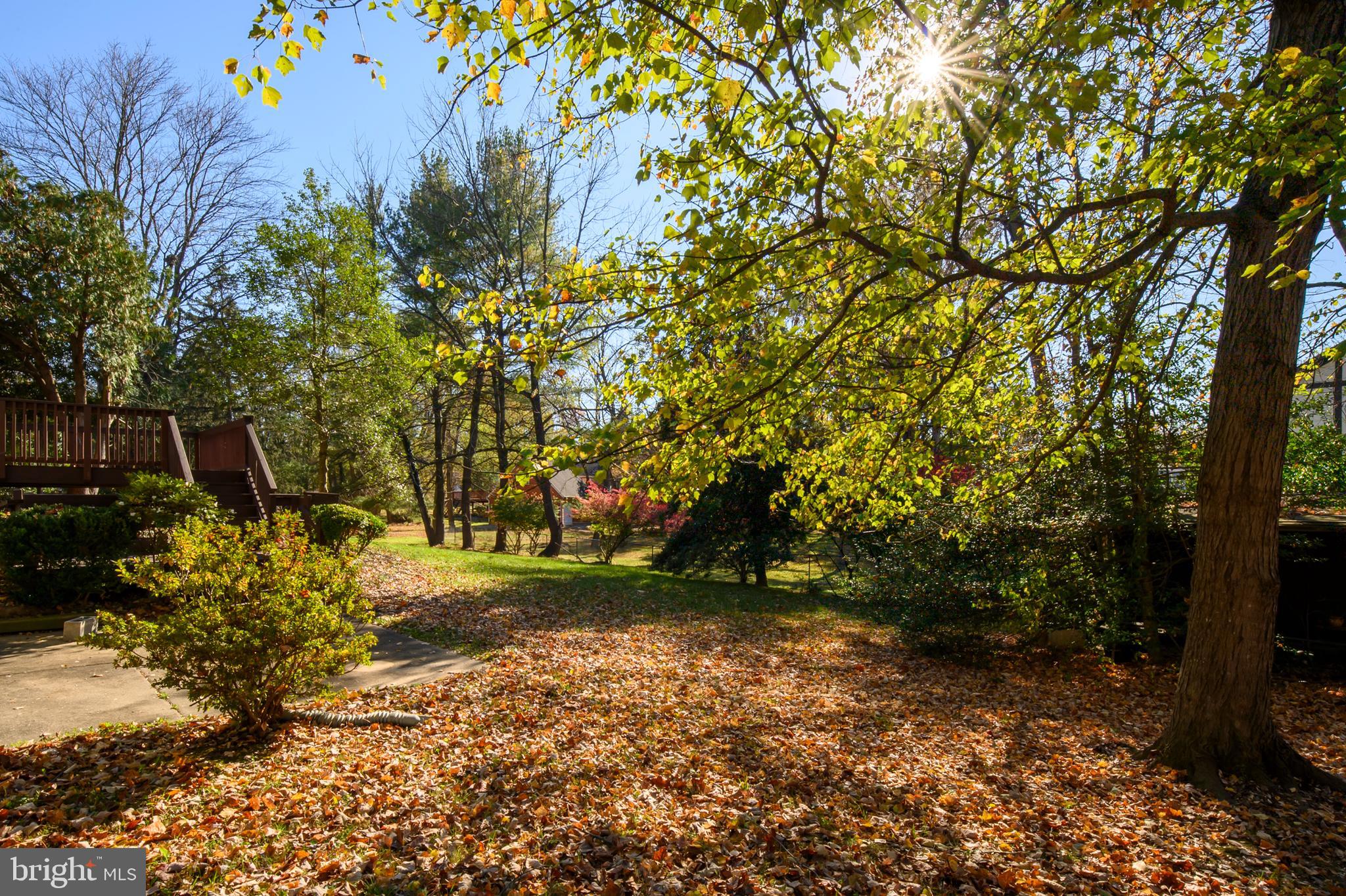 OAKLAND MILLS - Residential