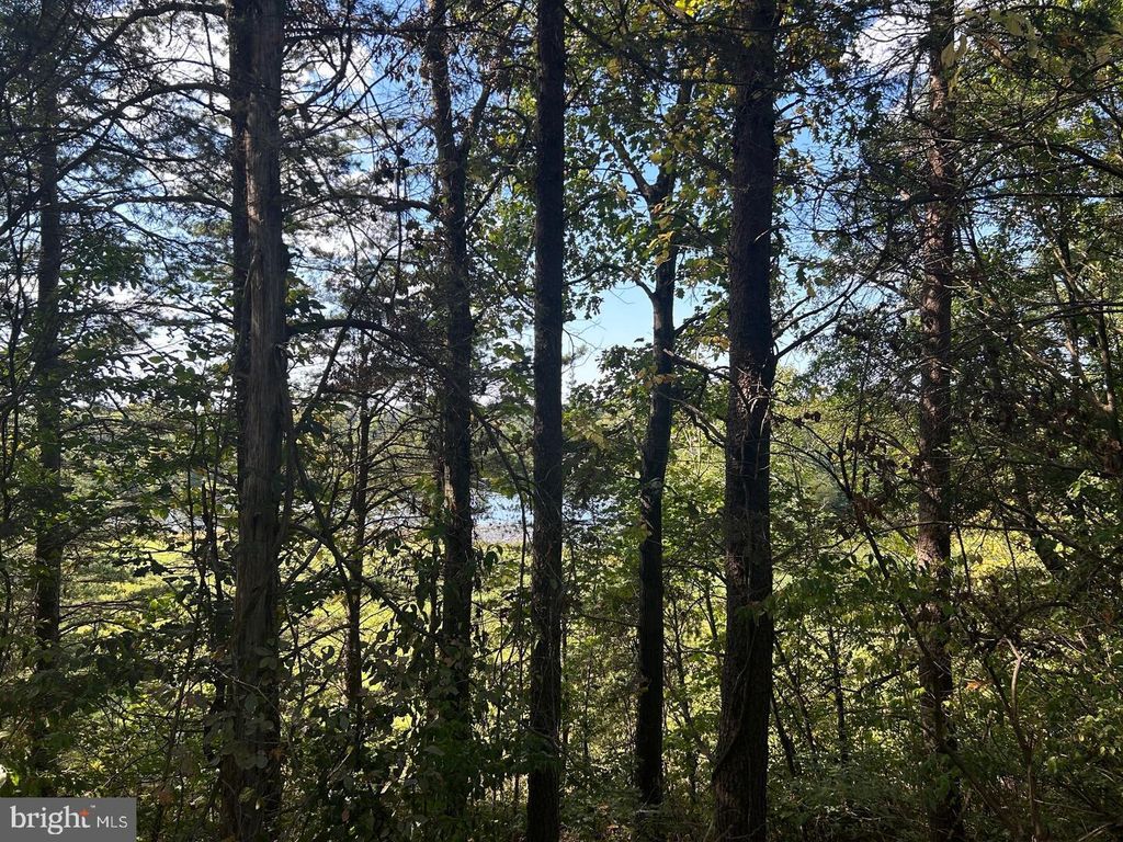 Photo of Parcel 15 Kipps Lane, ELKWOOD, VA 22718 (MLS # VACU2011632)