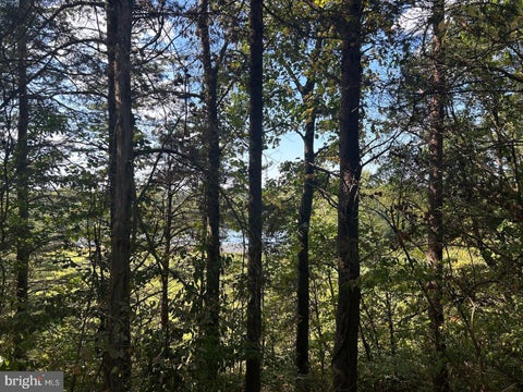 Vacant Land For Sale - PARCEL 15 Kipps Lane<br/> ELKWOOD, VA 22718