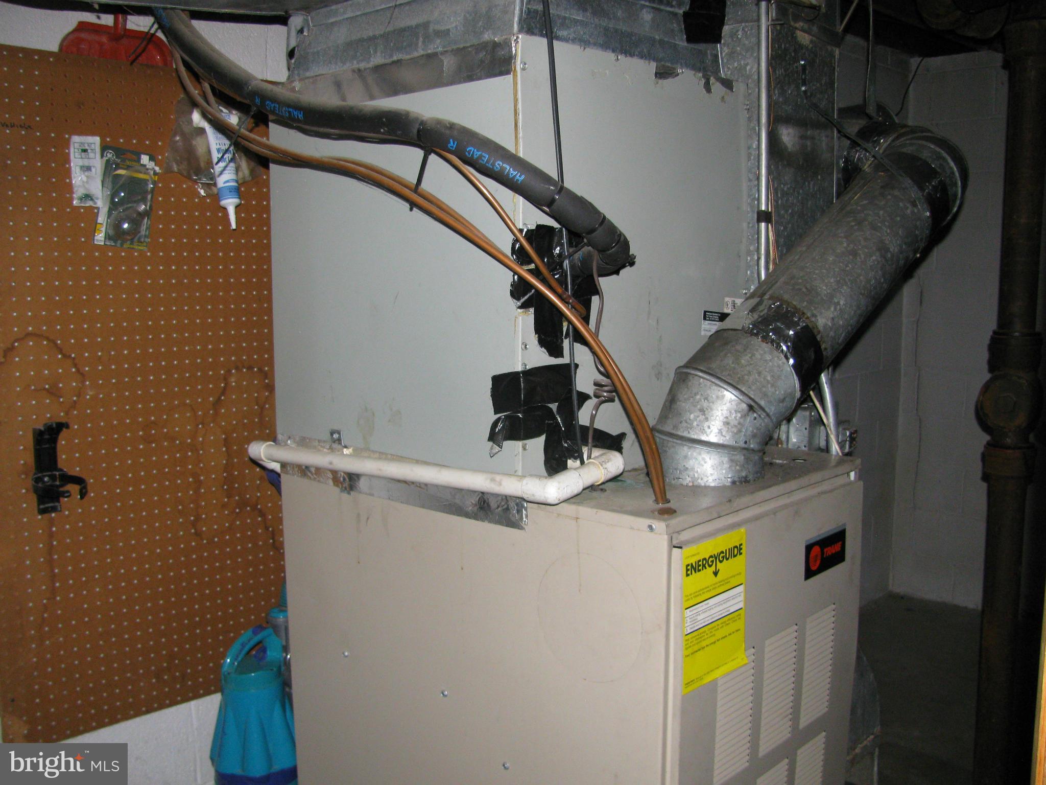 POTOMAC WOODS IND HEAD - Residential Lease