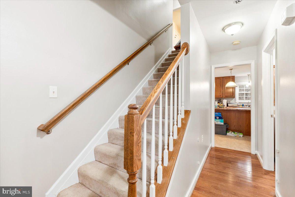 FOREST HILLS - Residential