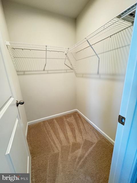 CHANDLERS GLEN - Residential Lease