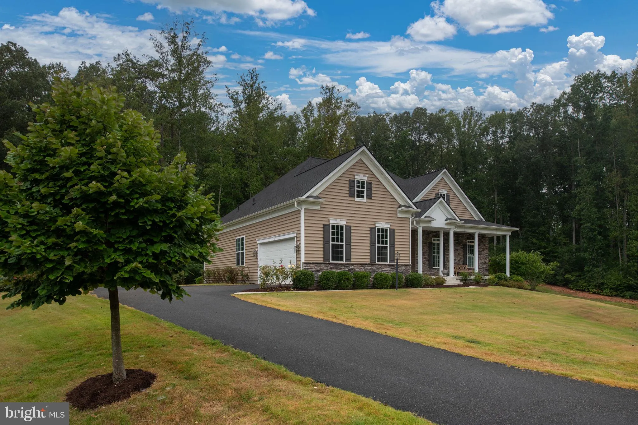 Fredericksburg, Virginia 22406, United States, 4 Bedrooms Bedrooms, ,4 BathroomsBathrooms,Residential,Active,196329