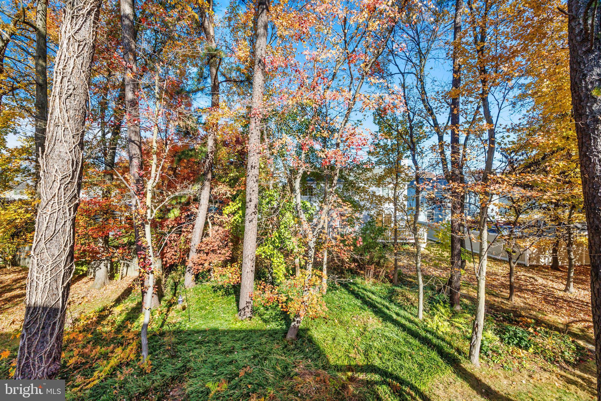 SEVERN WOODS - Residential