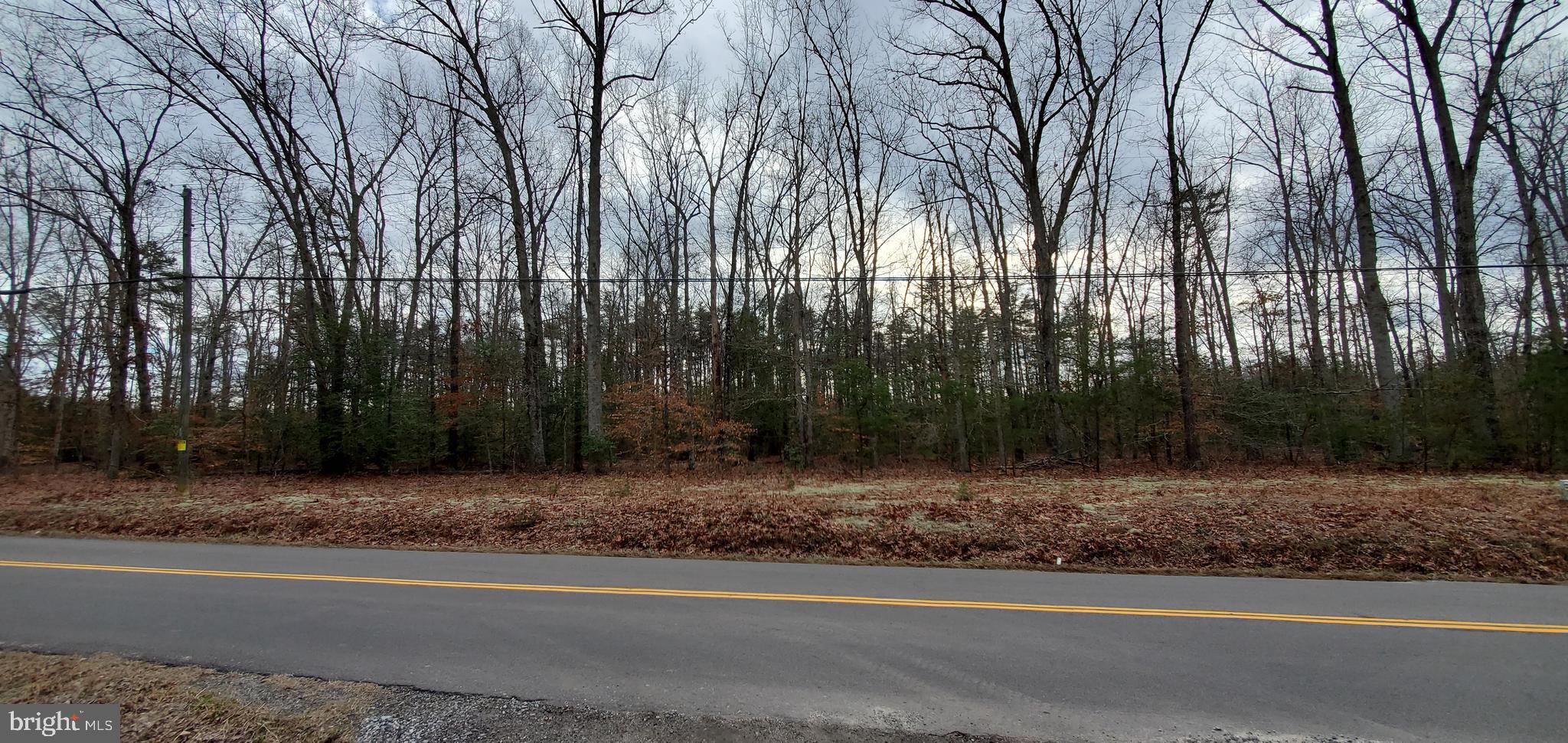 Come see what this property has to offer! It is a short drive to I-95 in a great centralized location near Cosner Corner, which includes dining, shopping, and the hospital. It is approximately 9 miles to downtown Fredericksburg. If you love privacy and want to also enjoy the amenities of the city this will be a great location for you! This land has a substantial amount of acres that will give you the opportunity to build a perfect home to enjoy!