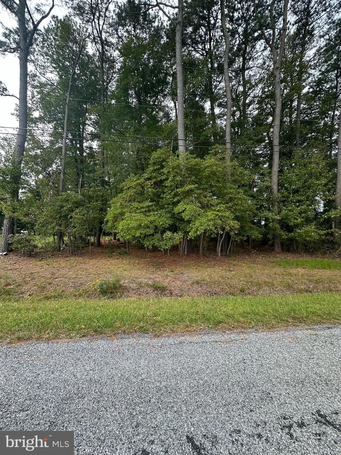 Selbyville, Delaware 19975, United States, ,Land,Active,223557