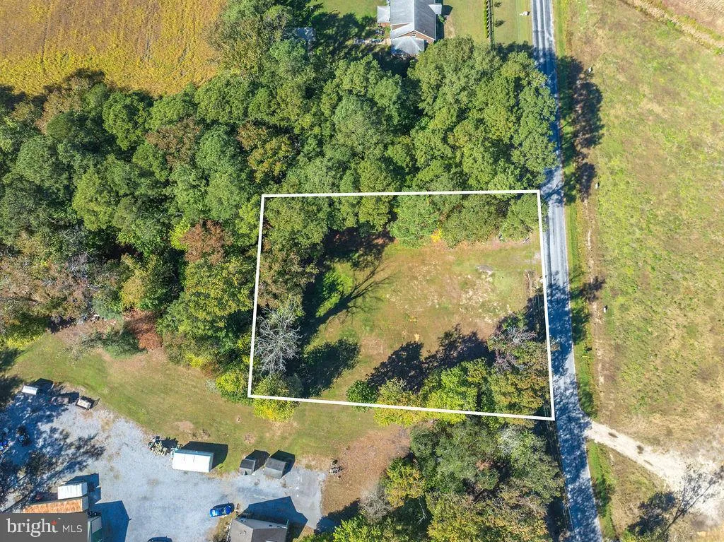 Selbyville, Delaware 19975, United States, ,Land,Active,223557