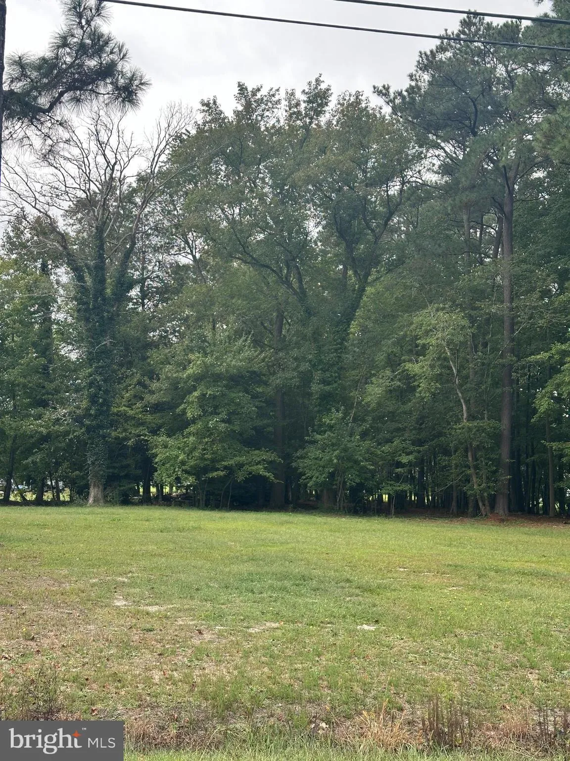 Selbyville, Delaware 19975, United States, ,Land,Active,223557