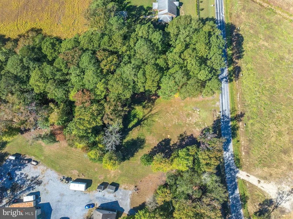 Selbyville, Delaware 19975, United States, ,Land,Active,223557