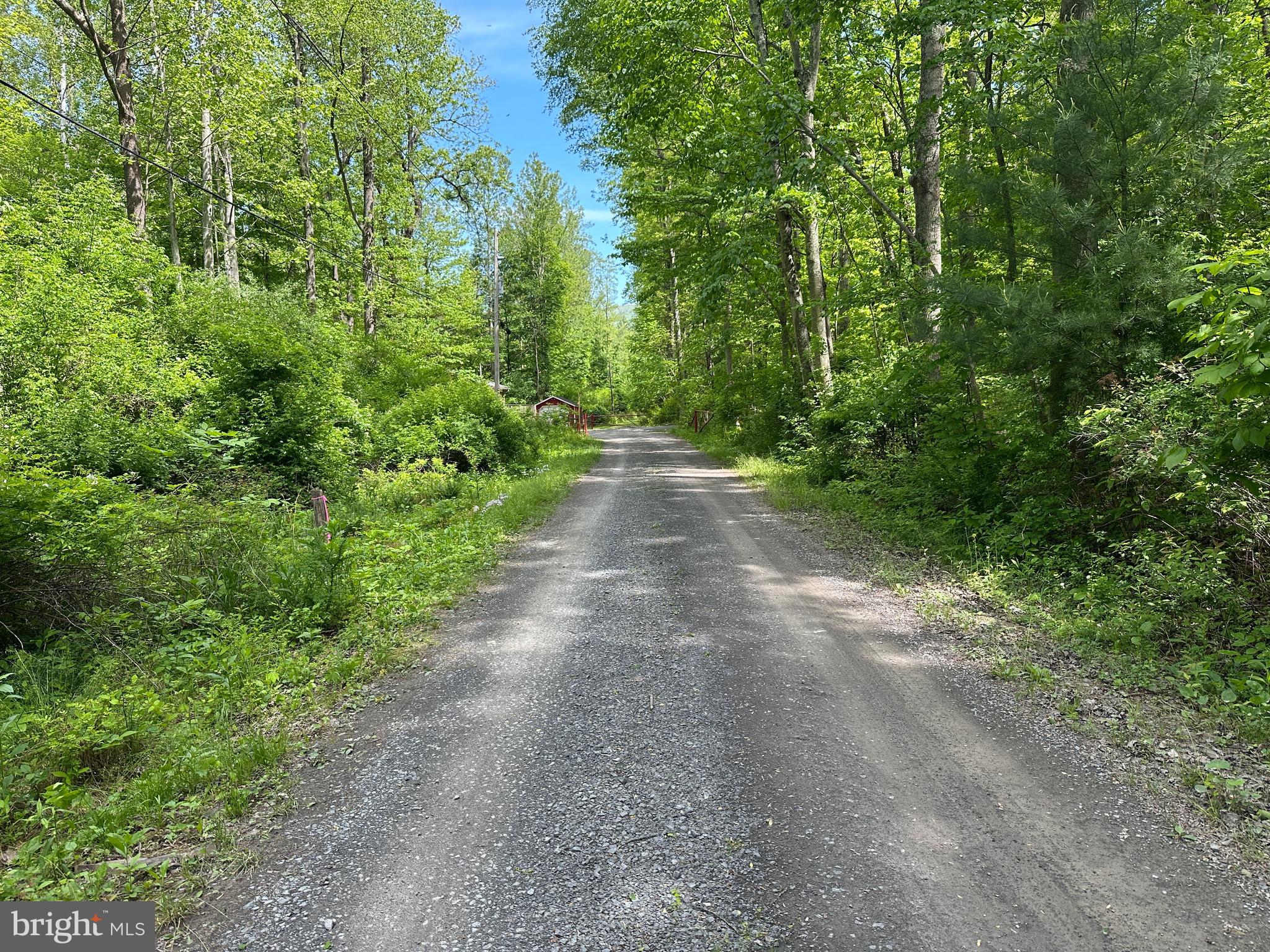 CACAPON HILLS - Land