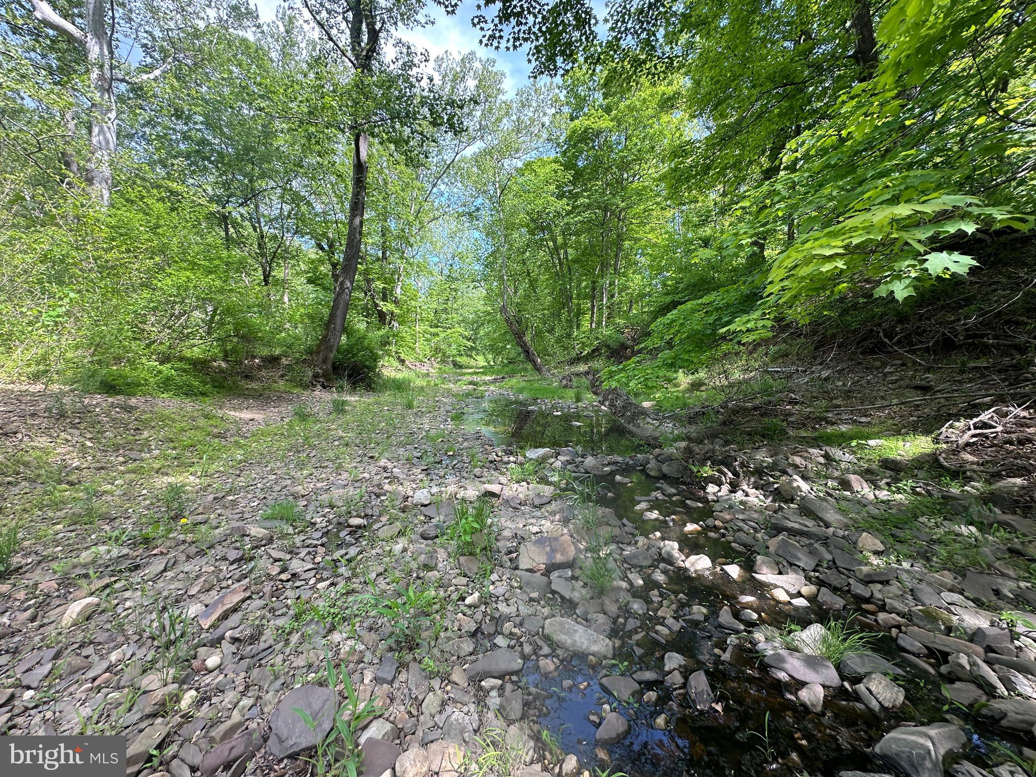 CACAPON HILLS - Land